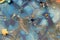 Macro mystical Abstract blue color marble texture background. Acrylic color in water and oil