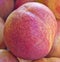 Macro nectarine