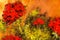 Macro of Oil Painting Depicting Red Geranium Flowers