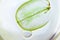 Macro petri dish with grape seed oil, air bubble and slice of green grape. Pure essential skin care oil. Spa treatment