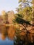 Macro photo with a beautiful background of autumn landscape with the prospect of lake water and trees with Golden foliage