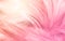 Macro photo of beautiful pink feathers vintage texture line background.