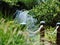 Macro photo with blurred vague background texture spray decorative garden fountain, greenery, flowers, plants and trees