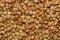 Macro photo of buckwheat groats. Grains buckwheat groat texture pattern for background. Image food product porridge buckwheat