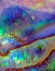 Macro photo of colorful iridescent surface of abalone shell