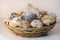 Macro Photo of Colorful Seashells in a Brown Basket