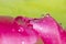 Macro photo from colorful waterdrops close up view