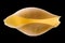 Macro photo of conchiglie pasta shell isolated on black background