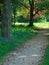 Macro photo with decorative background of a beautiful summer path with ancient trees in the sunlight in the European Park