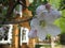 Macro photo with decorative background of beautiful white flowers of Apple tree plant during spring flowering in gardens