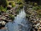 Macro photo with decorative floral background of garden landscape design of the river with stones and plants in the garden