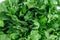 Macro photo of green fresh parsley, fresh vegetable