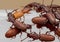 Macro Photo of Group of Sawtoothed Grain Beetle on White Plastic Box