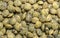 Macro photo of lentils