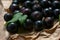 Macro photo of many black currants on paper, old fashioned composition