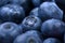 Macro photo of organic and sweet blueberries as a background. Healthful and fresh berries for desserts or smoothies.