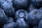 Macro photo of organic and sweet blueberries as a background. Healthful and fresh berries for desserts or smoothies.