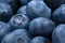 Macro photo of organic and sweet blueberries as a background. Healthful and fresh berries for desserts or smoothies.