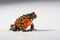 Macro photo of oriental fire-bellied toad with bokeh effect art