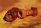 Macro photo of rusted screw on rusty metal plate