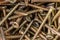 Macro photo of screws. Set of screws. Construction abstraction. Industrial background