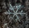 The macro photo of a snowflake, background or abstraction. Winter photo very close.