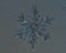 The macro photo of a snowflake, background or abstraction. Winter photo very close.