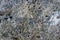 Macro photo texture of natural porous stone