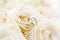 Macro photo of two platinum wedding rings lying on white roses