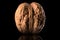 Macro photo of whole walnut with reflection  on a black background