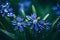 A macro photograph of a cluster of glistening, early morning dew on a spiderwort