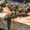 macro photography bees close up. Organic farm honey. Al Generated.