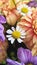 Macro photography of a bright bouquet of daisies and chrysanthemums