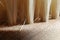 Macro-photography of bristles of a wooden hairbrush