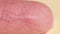 Macro photography of a person`s index finger pad. A woman`s fingerprint.