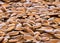 Macro photography of a pile of flax seeds