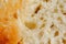 Macro photography of a slice home-baked bread. Texture or background