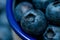 Macro picture of pile of blueberries in the cup