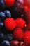 Macro picture of red raspberry on background of blueberries and gooseberries. Fresh breakfast with berries assortment. Healthy