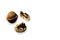 Macro picture top side view of healthy snack food raw walnuts in hard shell with clipping paths