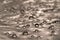 Macro picture of water drops on a leather surface