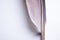 Macro pigeon feather on a white background. Close-up of feather structure