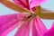 Macro of pistils of a small pink geranium