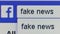 Macro pixel level view user typing `Fake News` into the search bar on Facebook
