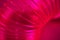 Macro plastic pink slinky