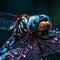 Macro portrait of a dragonfly with big eyes on a dark background