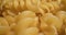 Macro probe shot of dried rotini pasta.