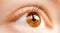 Macro pupil retina colse brown eye of woman