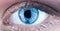 Macro pupil retina human colse eye, eyeball. Female eyes with long eyelashes close up. Macro of human eye. Closeup of