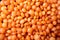 Macro red lentils texture. Backdrop